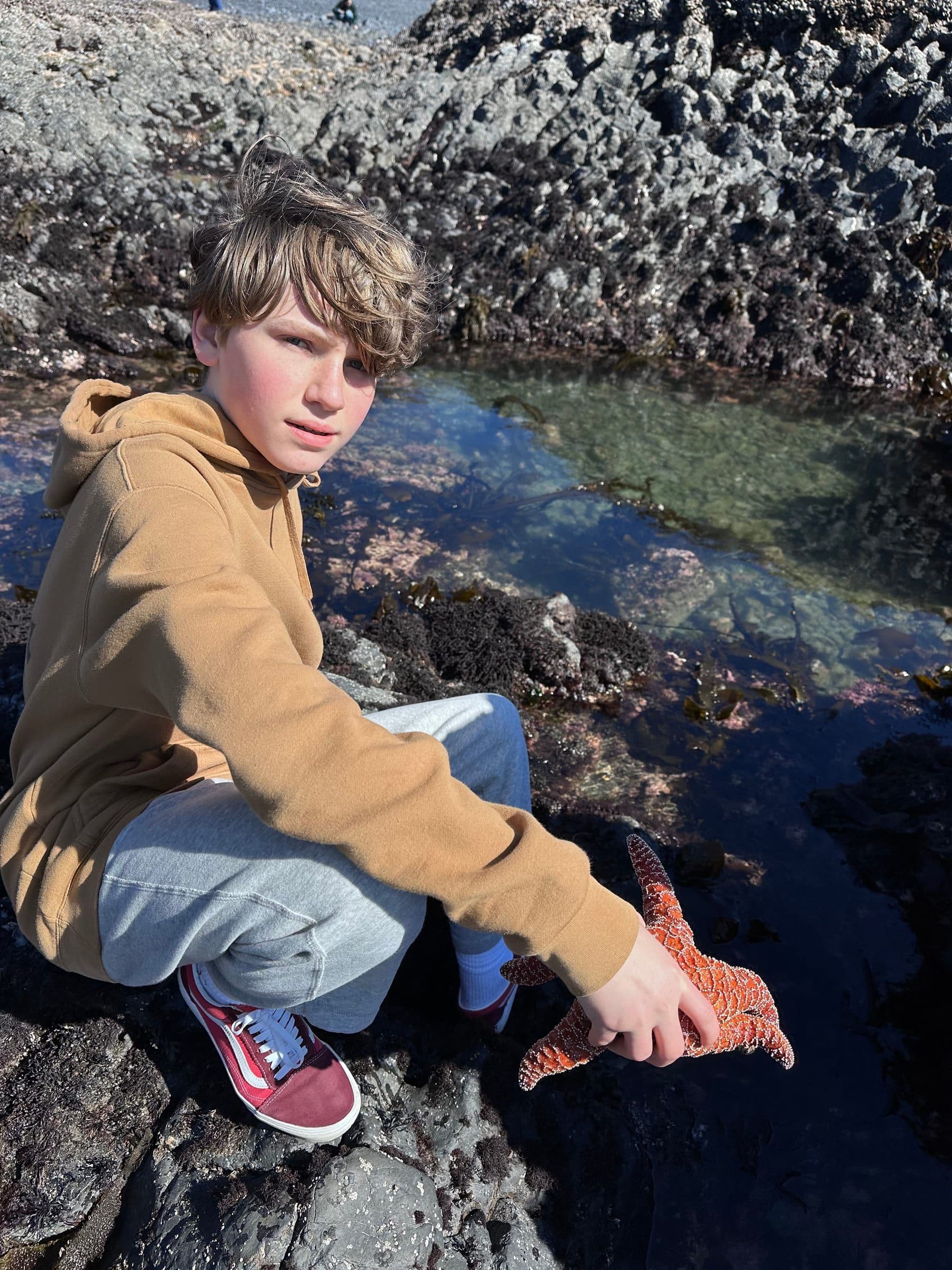 Asher holding a starfish in the tide pools at Newport